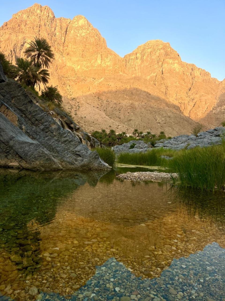 Wadi Al Arbeieen Resort Firq Eksteriør billede